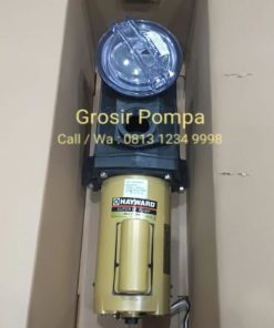 Hayward Pump 3 Hp 1 phase